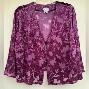 Sheer Cover up top with Button